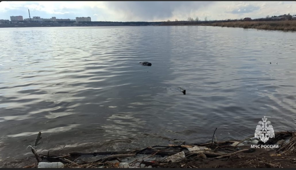 Из Альметьевского водохранилища спасатели достали тело погибшего