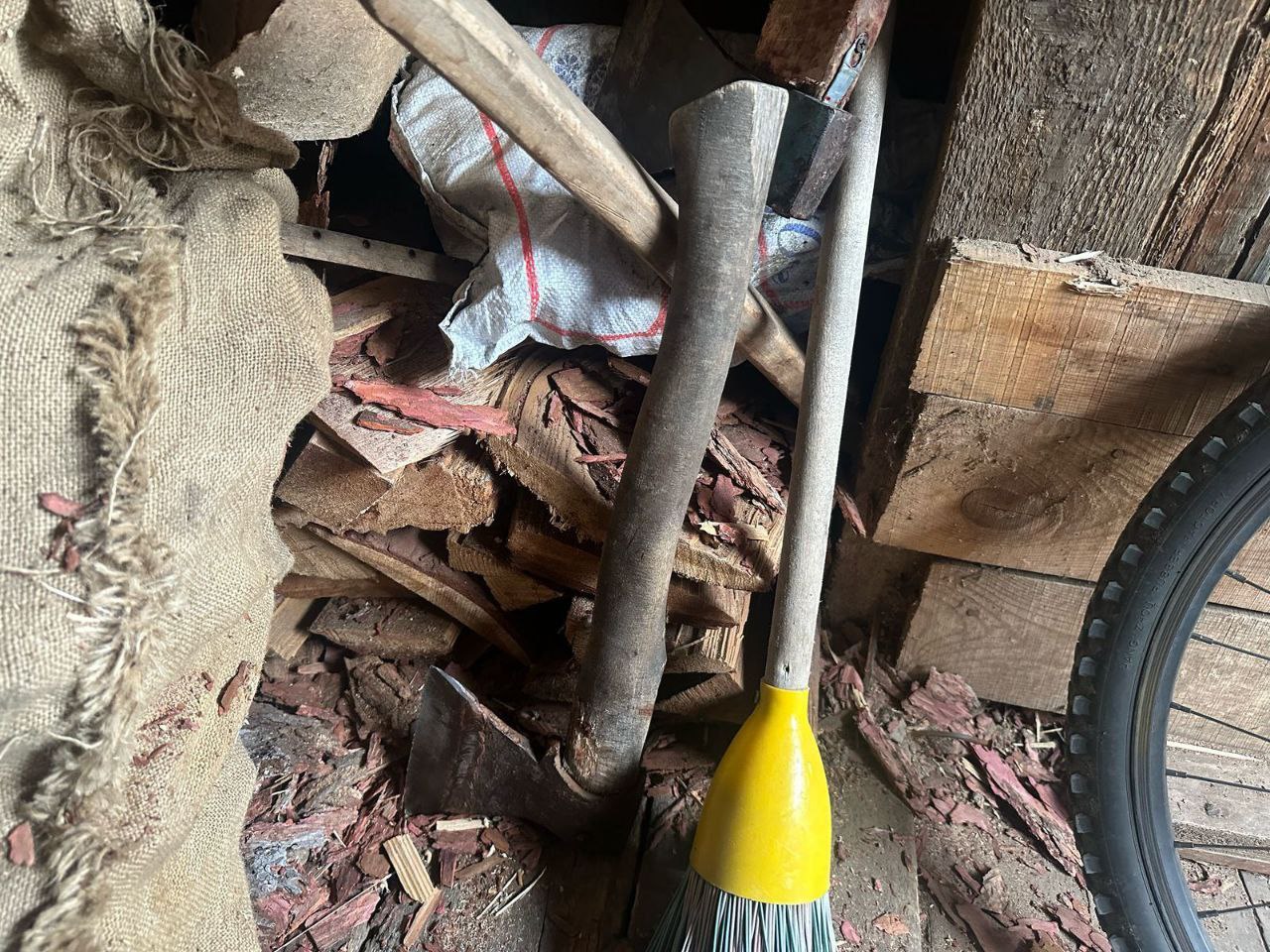 Попа малолетки 