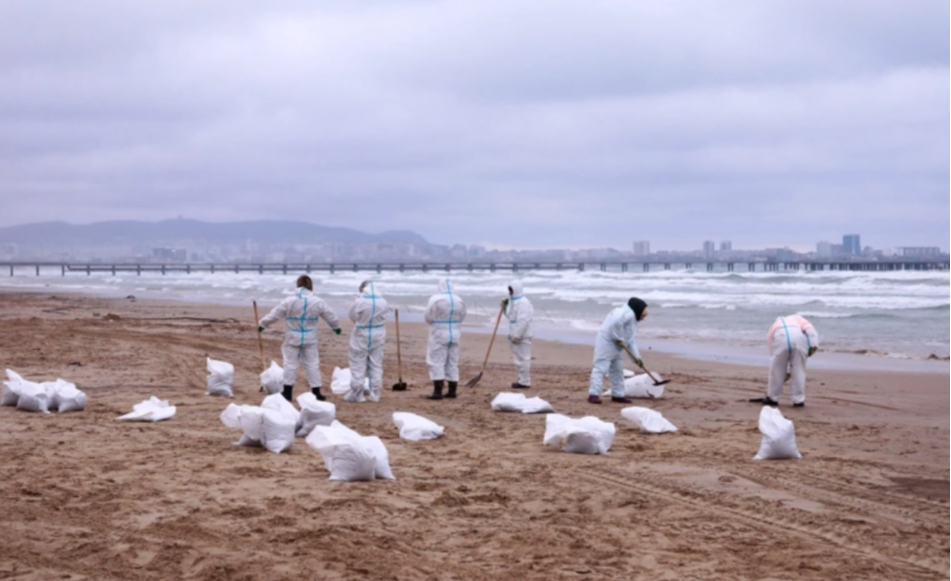 Власти Краснодарского края предлагают замену пляжам из-за мазута