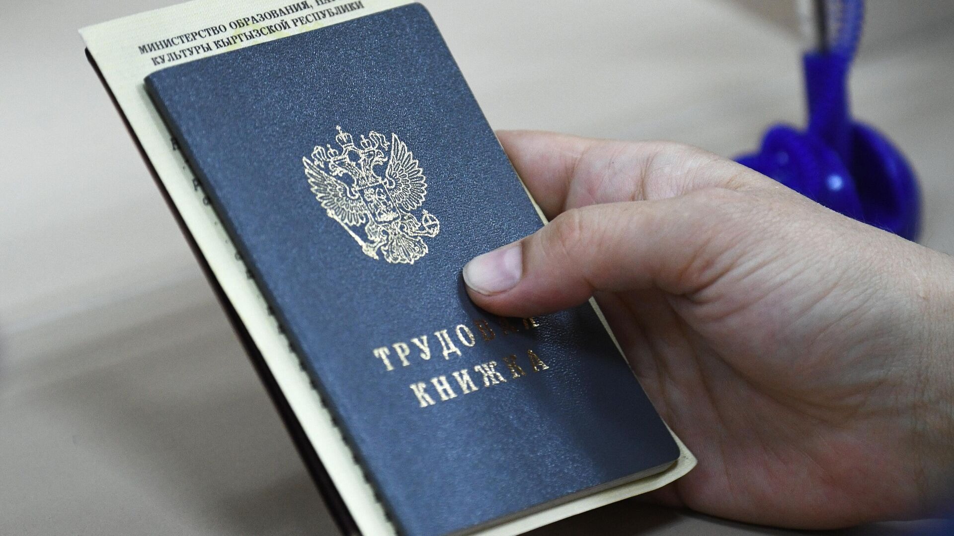 Названы самые высокооплачиваемые профессии Татарстана