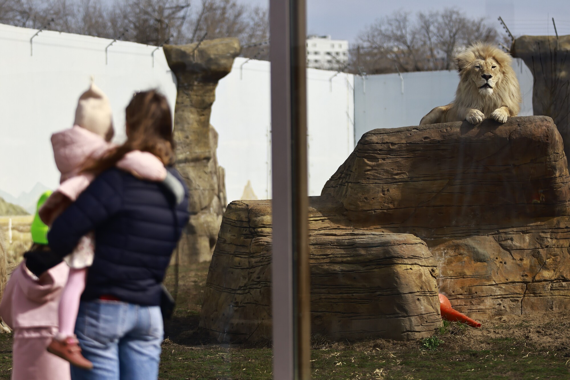 Казанский зооботсад превращает животных в звезд соцсетей