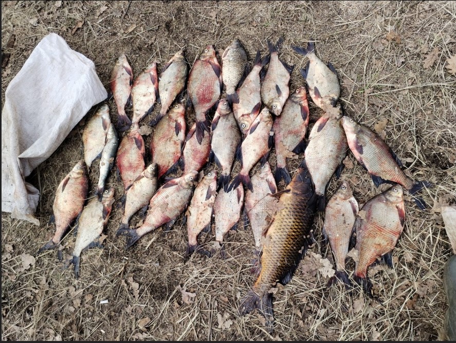 Браконьер попался в Казани с выловленными карасями, лещами и сазанами