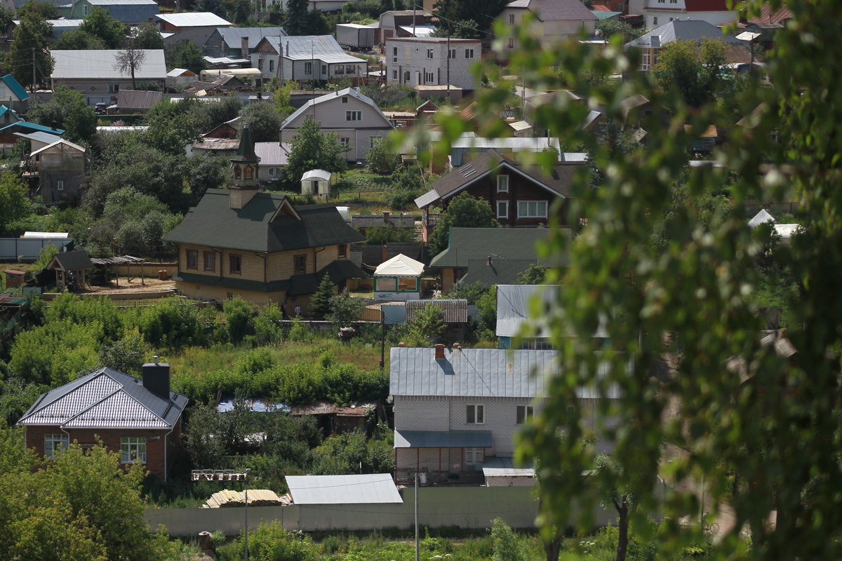 В Роскачестве назвали запрещенные грибы и растения на даче