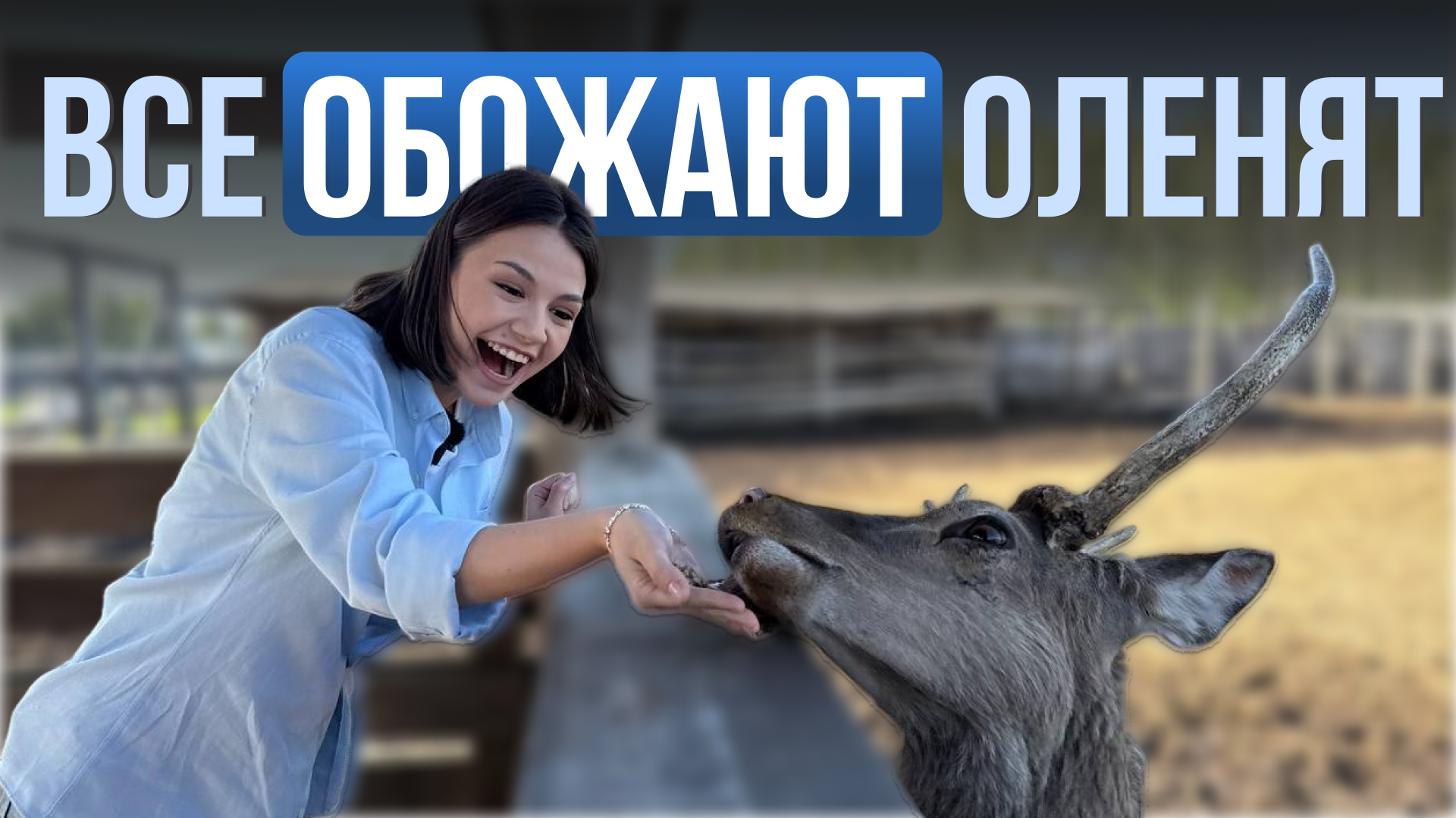 Валерия Толстошеева / ИД «Вечерняя Казань»
