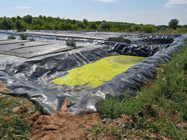 На рекультивацию иловых полей в Казани в 2025 году выделят свыше 1 млрд рублей