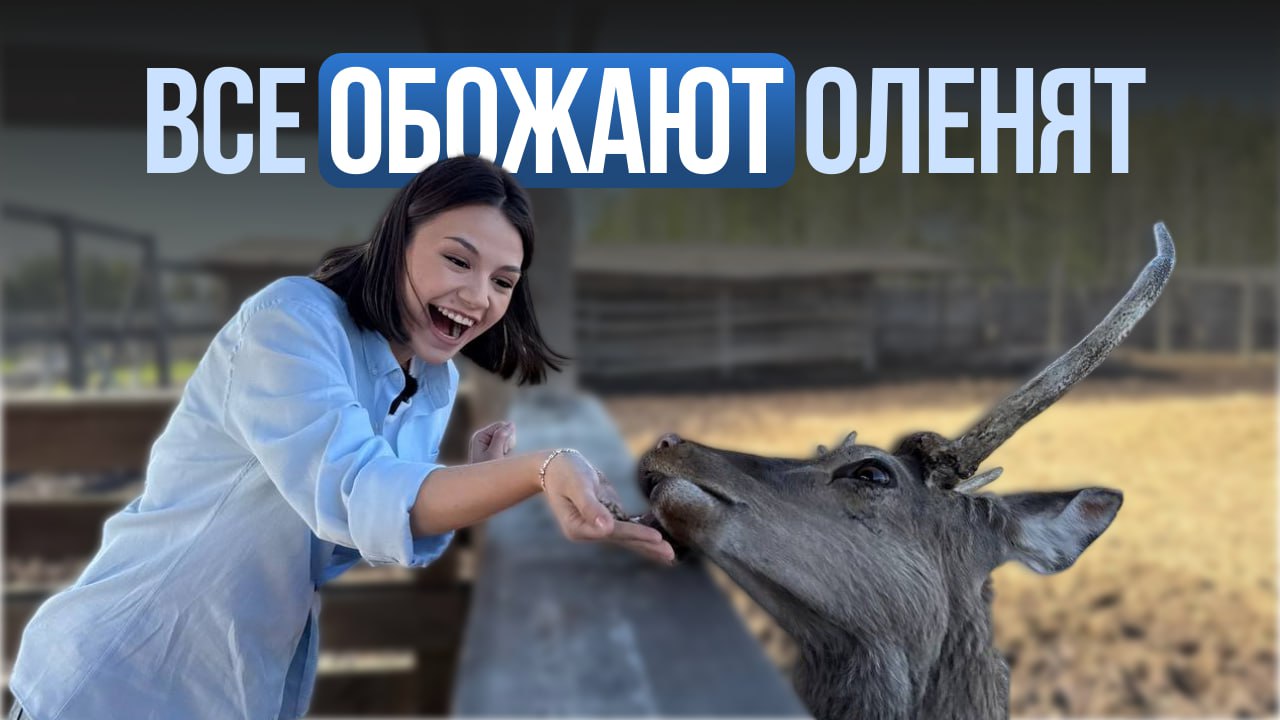 Валерия Толстошеева / ИД «Вечерняя Казань»