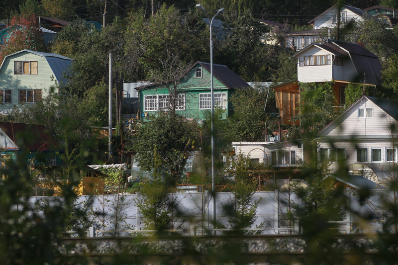Дачникам назвали растения, за которые грозит штраф до 300 тысяч рублей
