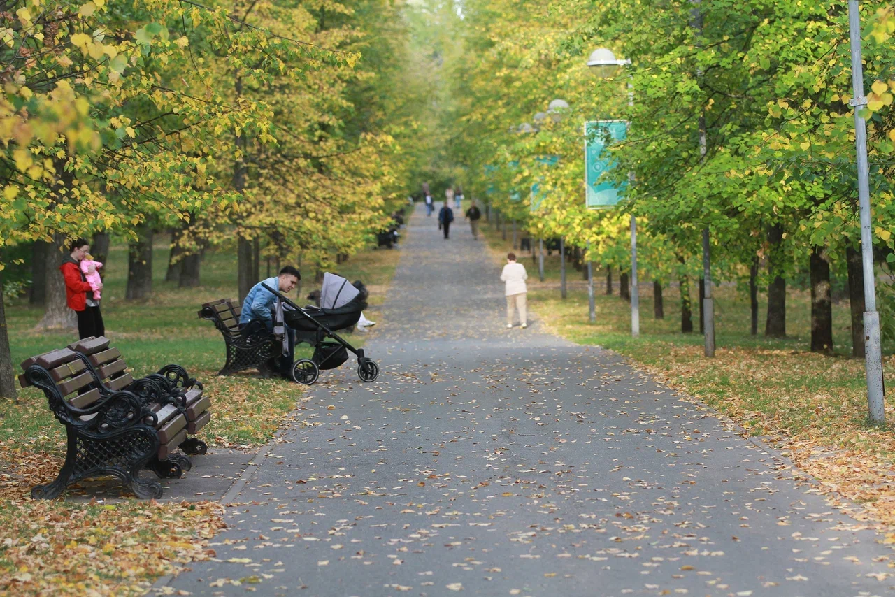 В России для повышения рождаемости предложили ввести «демографическую неделю»