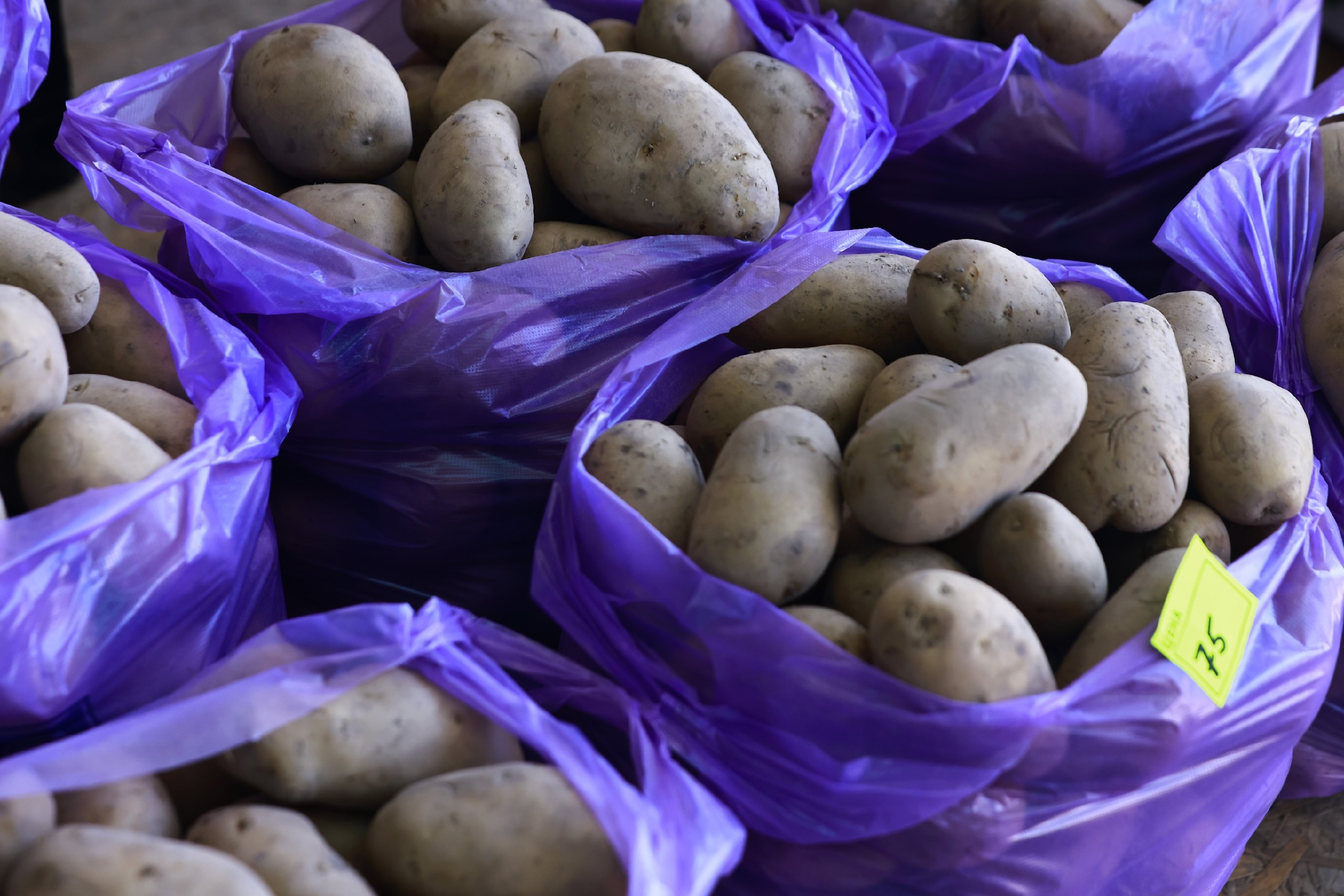 Лукашенко призвал срочно сажать картофель, заявив, что время еще есть