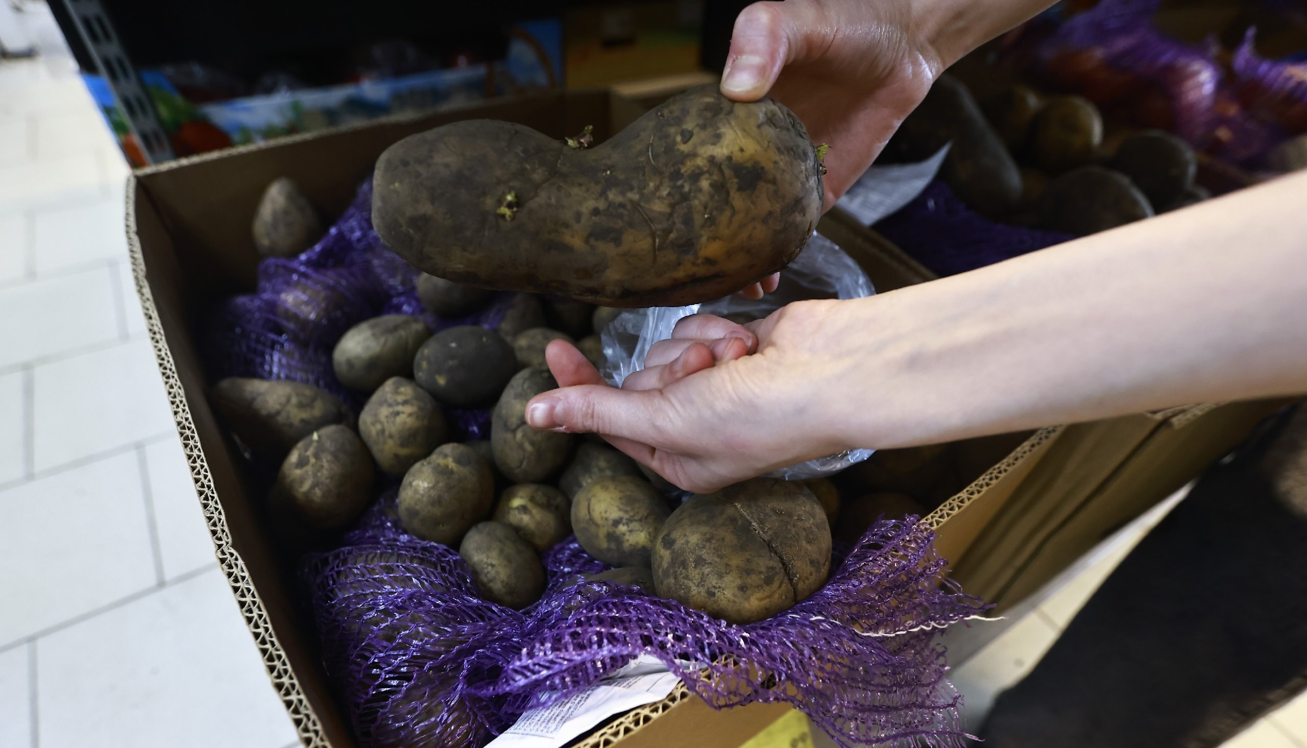 В УФАС Татарстана прокомментировали жалобы на высокие цены на картофель