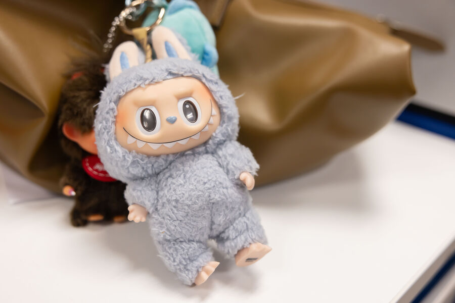 Влияние игрушки Лабубу на детскую психику предложили проверить в РАО