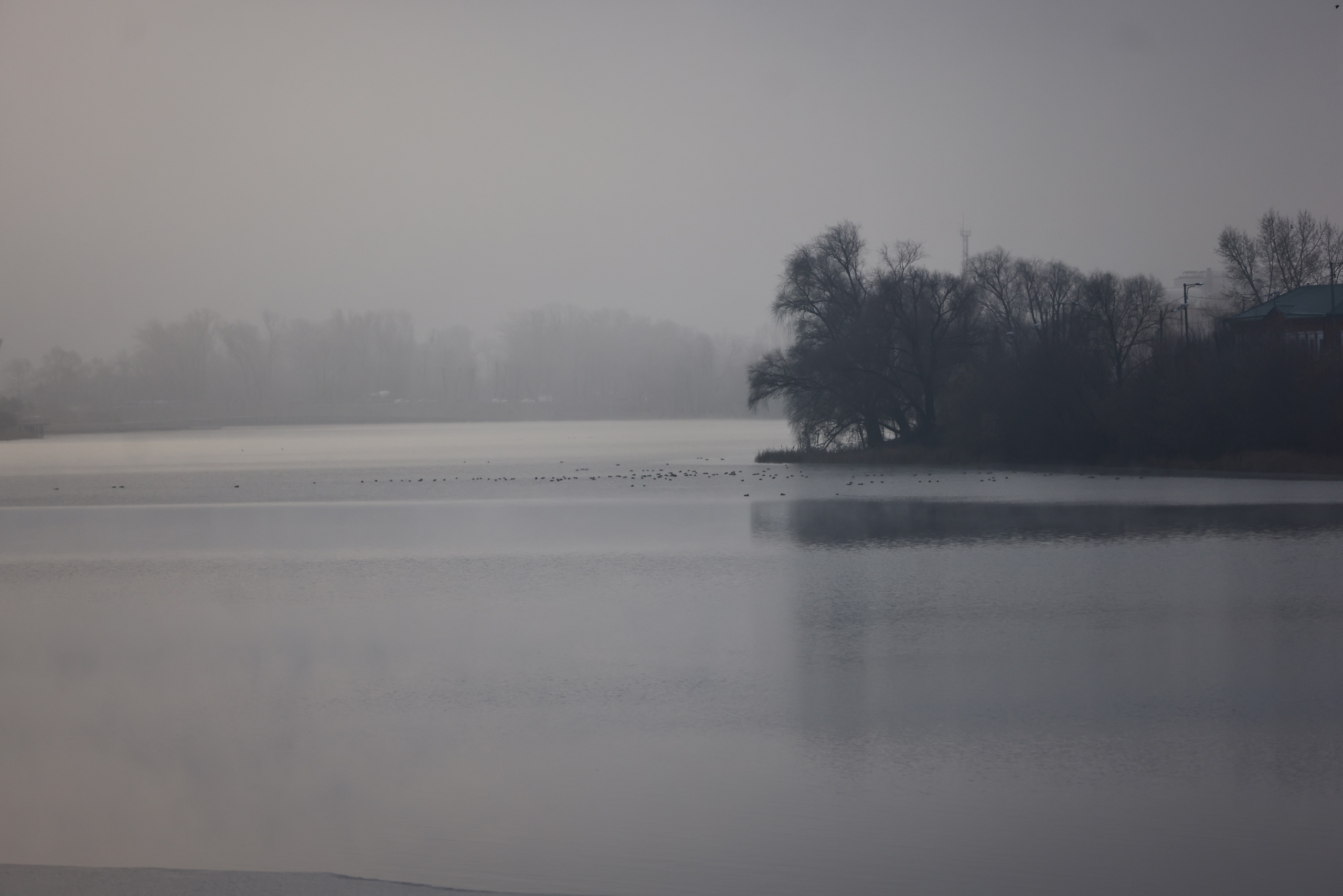 Ущерб от слива в Волгу плохо очищенных сточных вод у Казани превысил 270 тысяч