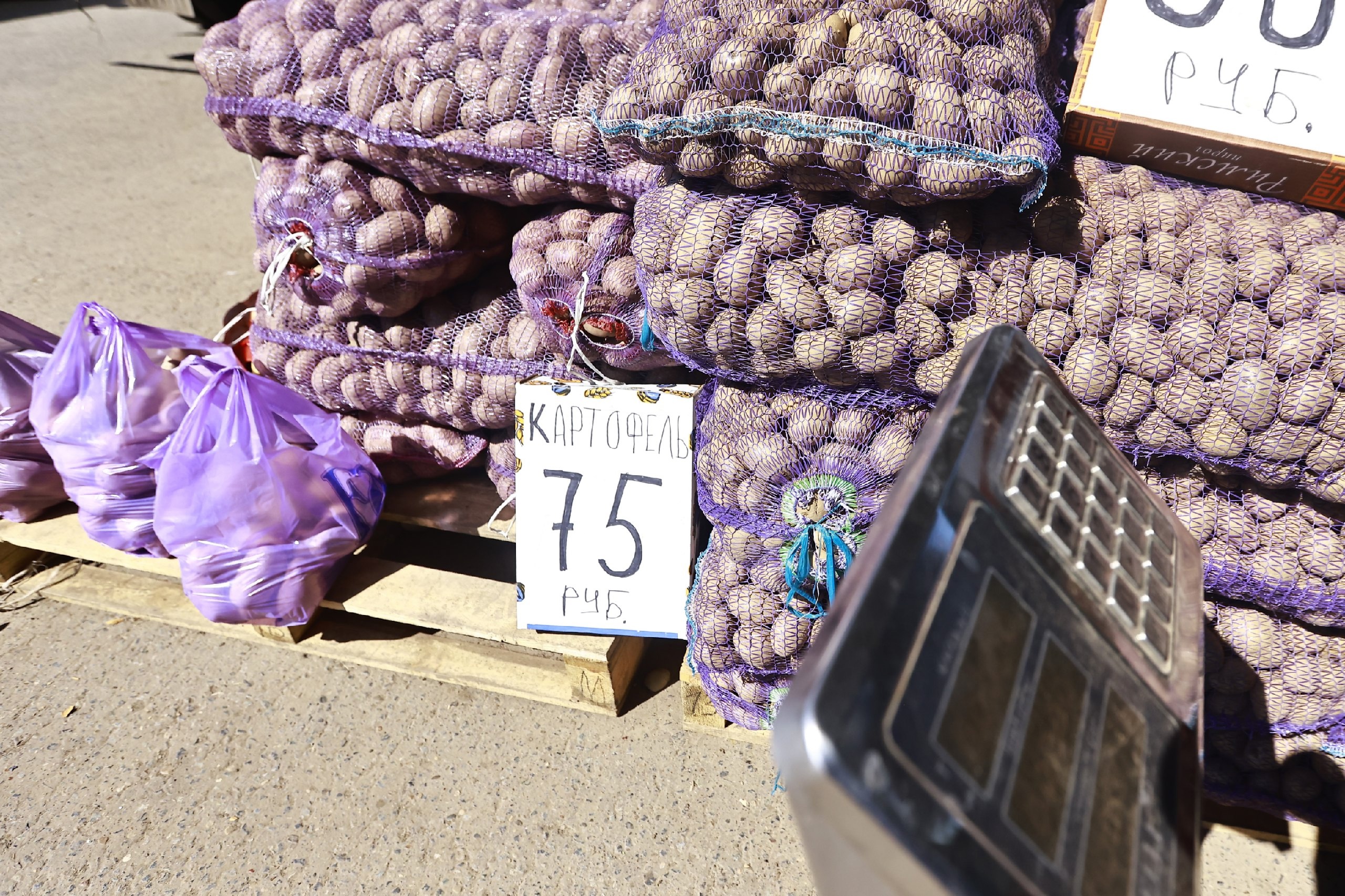 ФАС ожидает снижение цен на картофель летом