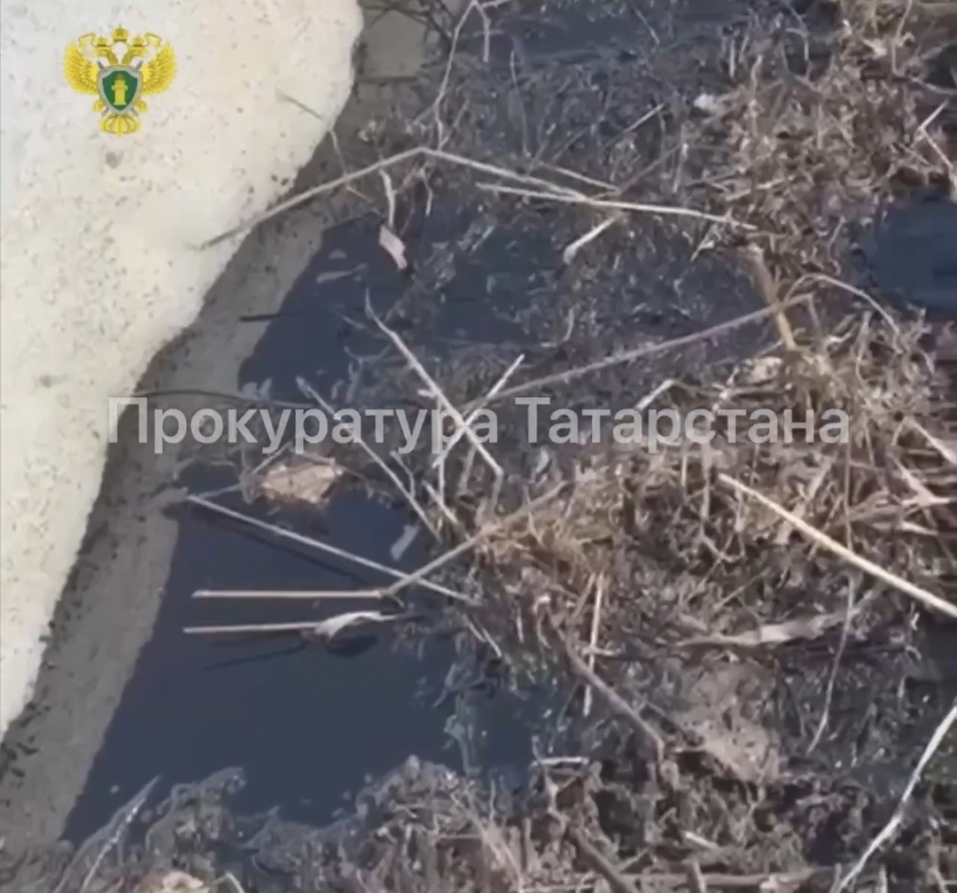 Разлитая нефть уничтожила плодородную почву в Татарстане