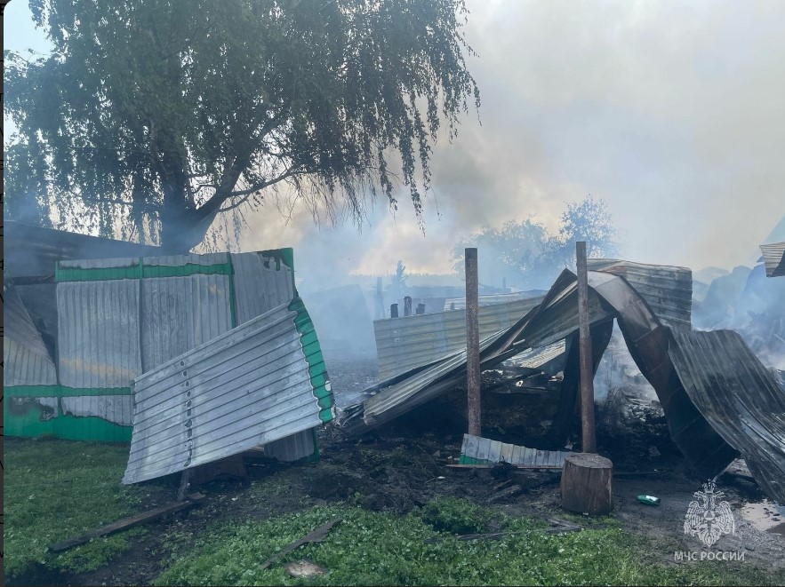 На пожаре в Тетюшском районе погибла пенсионерка