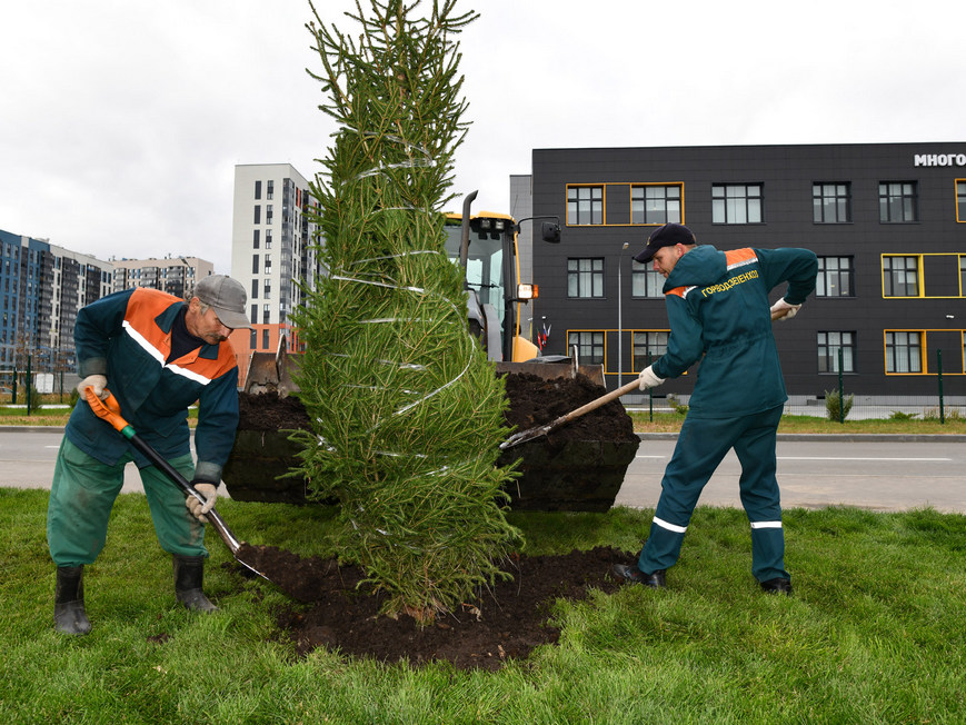 Казань стала единственным городом России с ESG-рейтингом