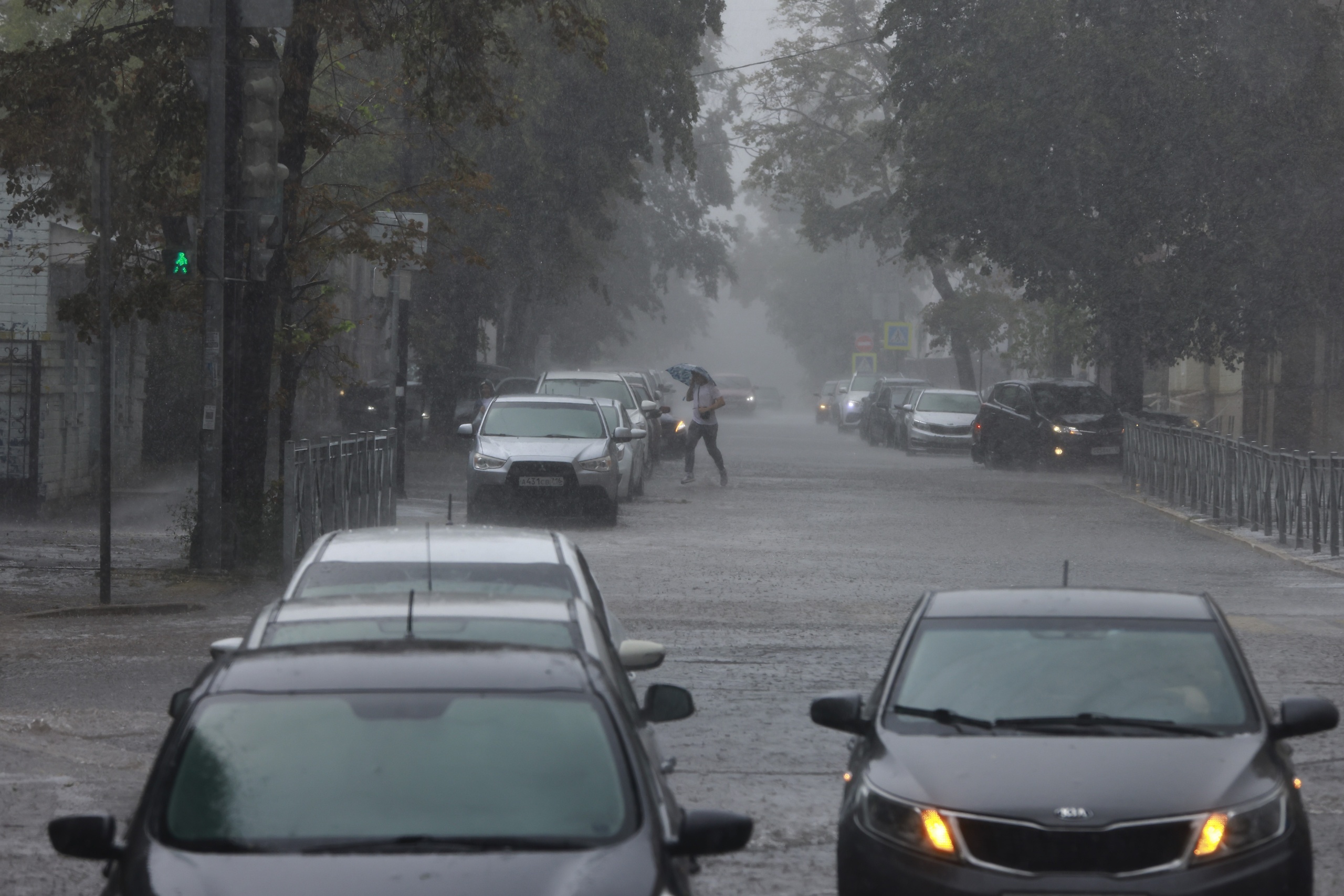 Синоптик Вильфанд спрогнозировал интенсивные осадки почти по всей России