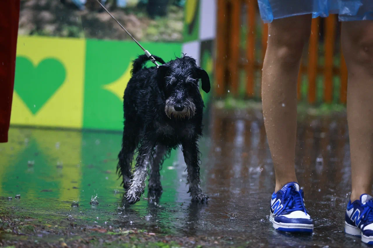 Климатолог Кокорин объяснил холодное лето в России
