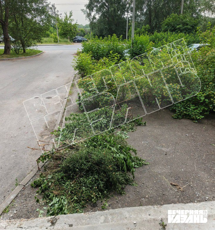 ИД «Вечерняя Казань»