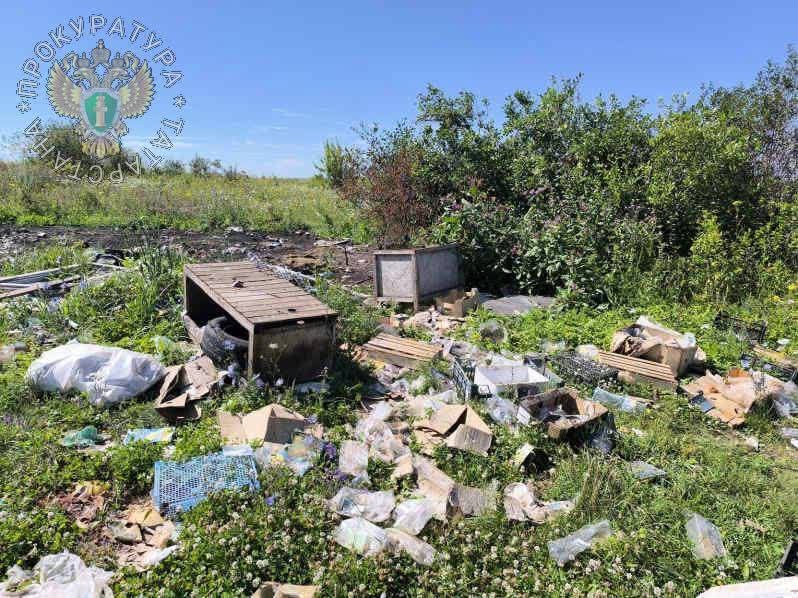 Прокуратура Татарстана пригрозила главе поселка из-за свалки под деревней