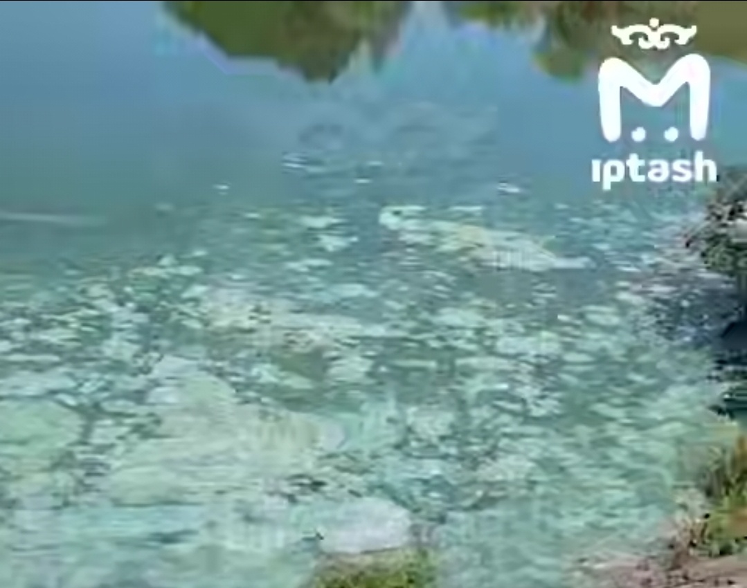 Экологи передали информацию о загрязнении реки Шемелки в прокуратуру Татарстана