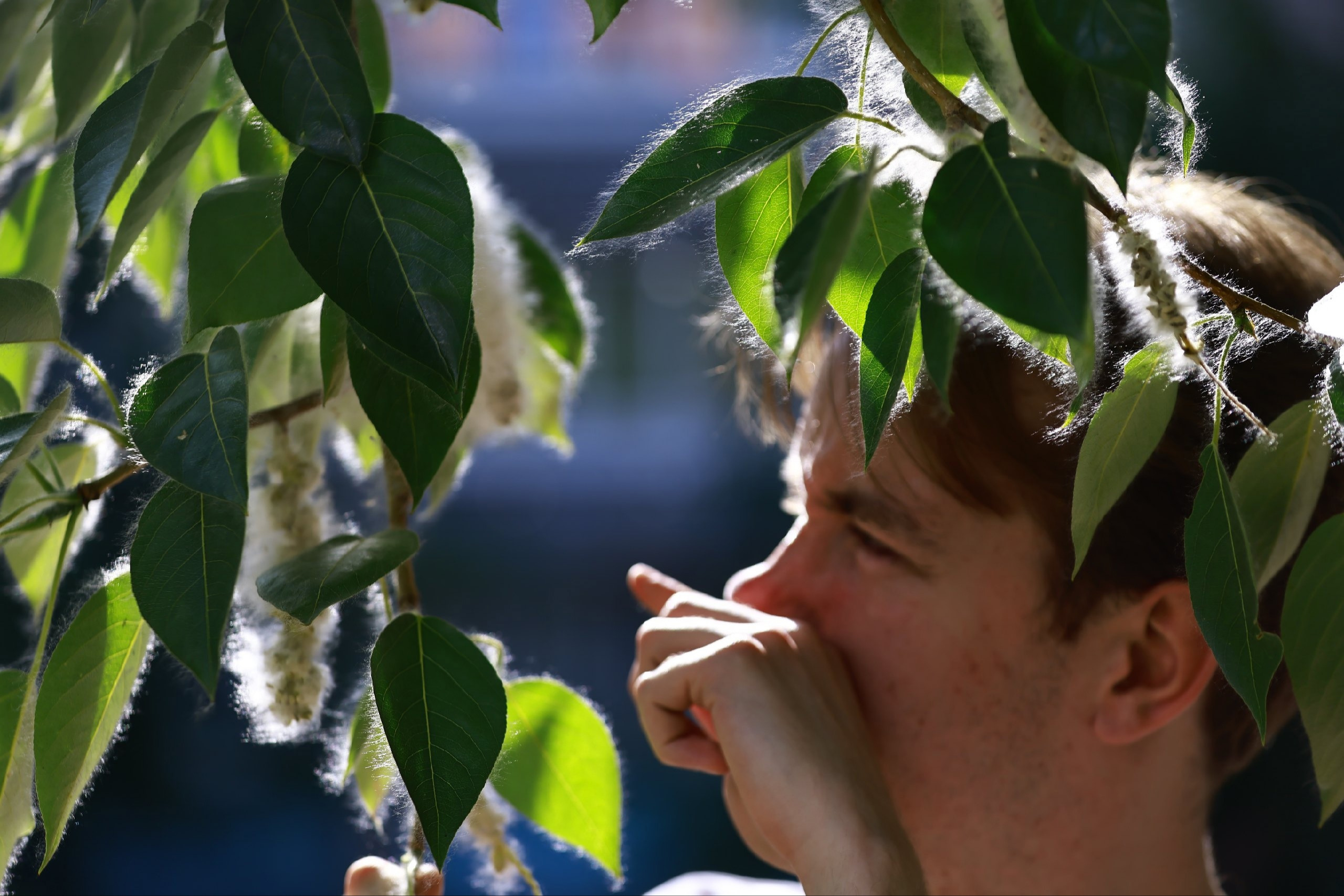 Профессор КФУ рассказал, как противостоять сезонным аллергиям