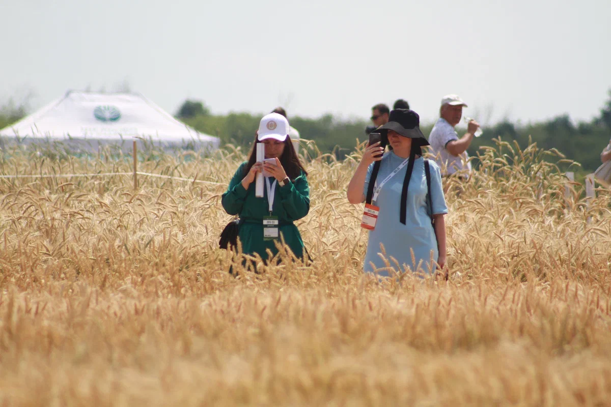 Павел Хацаюк / ИД «Вечерняя Казань»