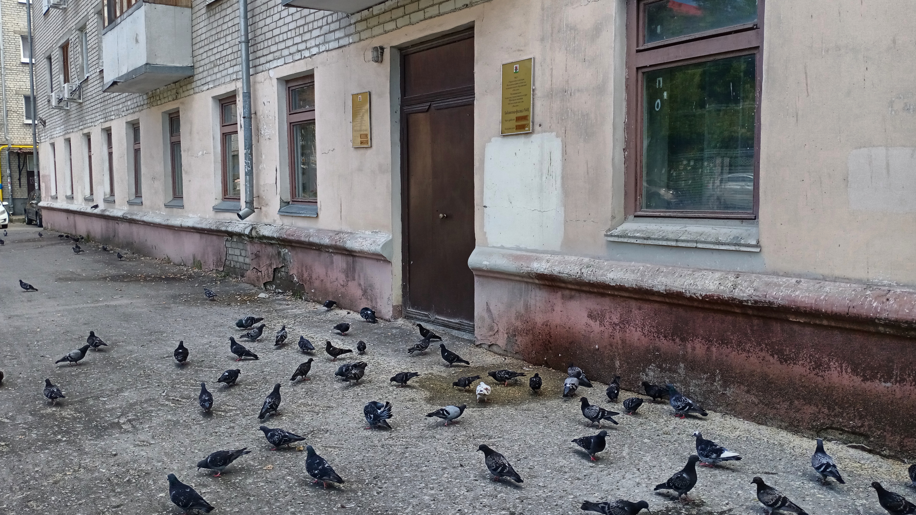 Ольга Юхновская / ИД «Вечерняя Казань»