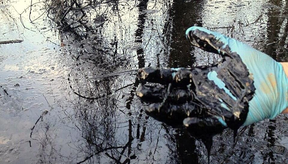 Из-за прорывов нефтяных трубопроводов в лесах в Татарстане завели 11 дел