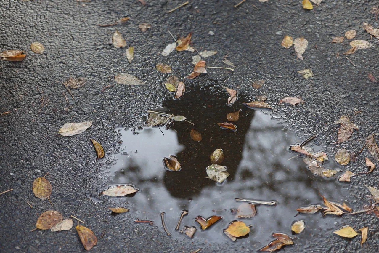 Трехдневные выходные ждут россиян в начале ноября