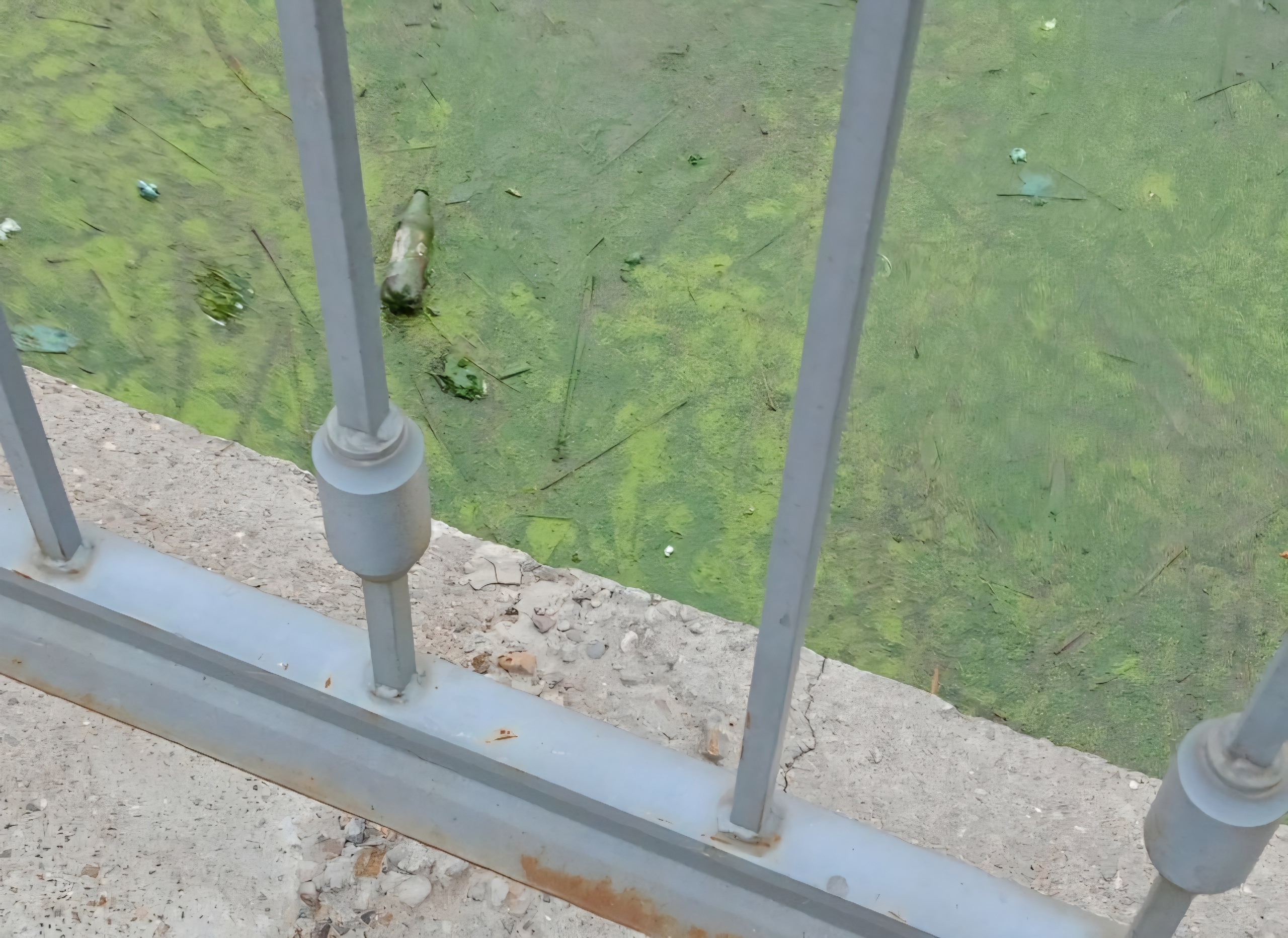 Сотрудники Росрыболовства не нашли мертвую рыбу и загрязнения на Казанке