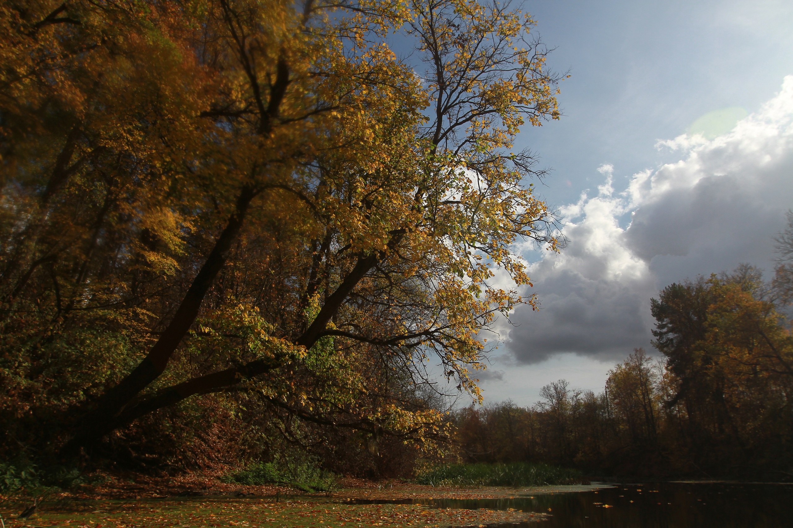 Метеоролог КФУ объяснил большой разброс температур ночью и днем в Татарстане