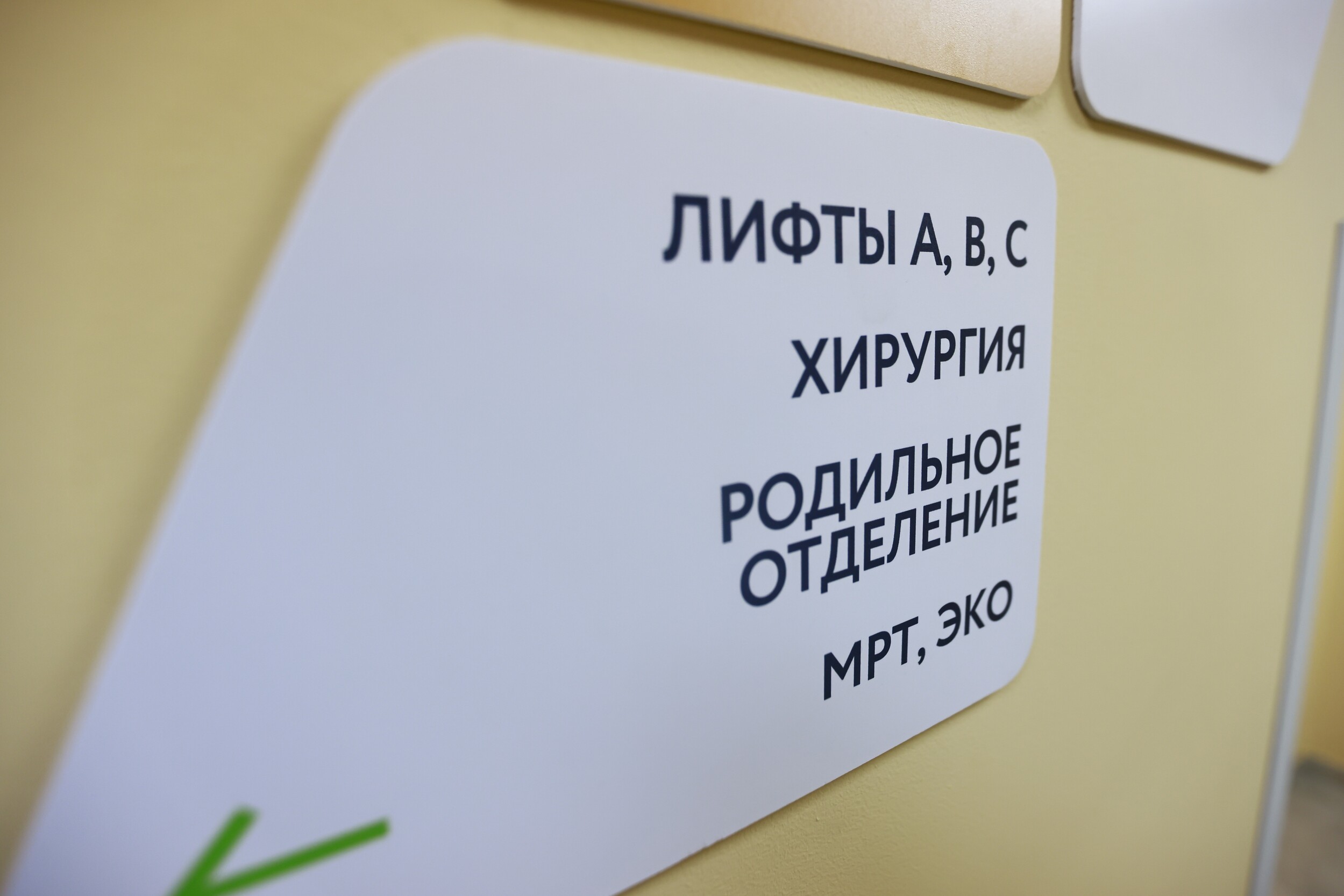 Депутат попросила Мурашко разъяснить допустимость мер по борьбе с абортами