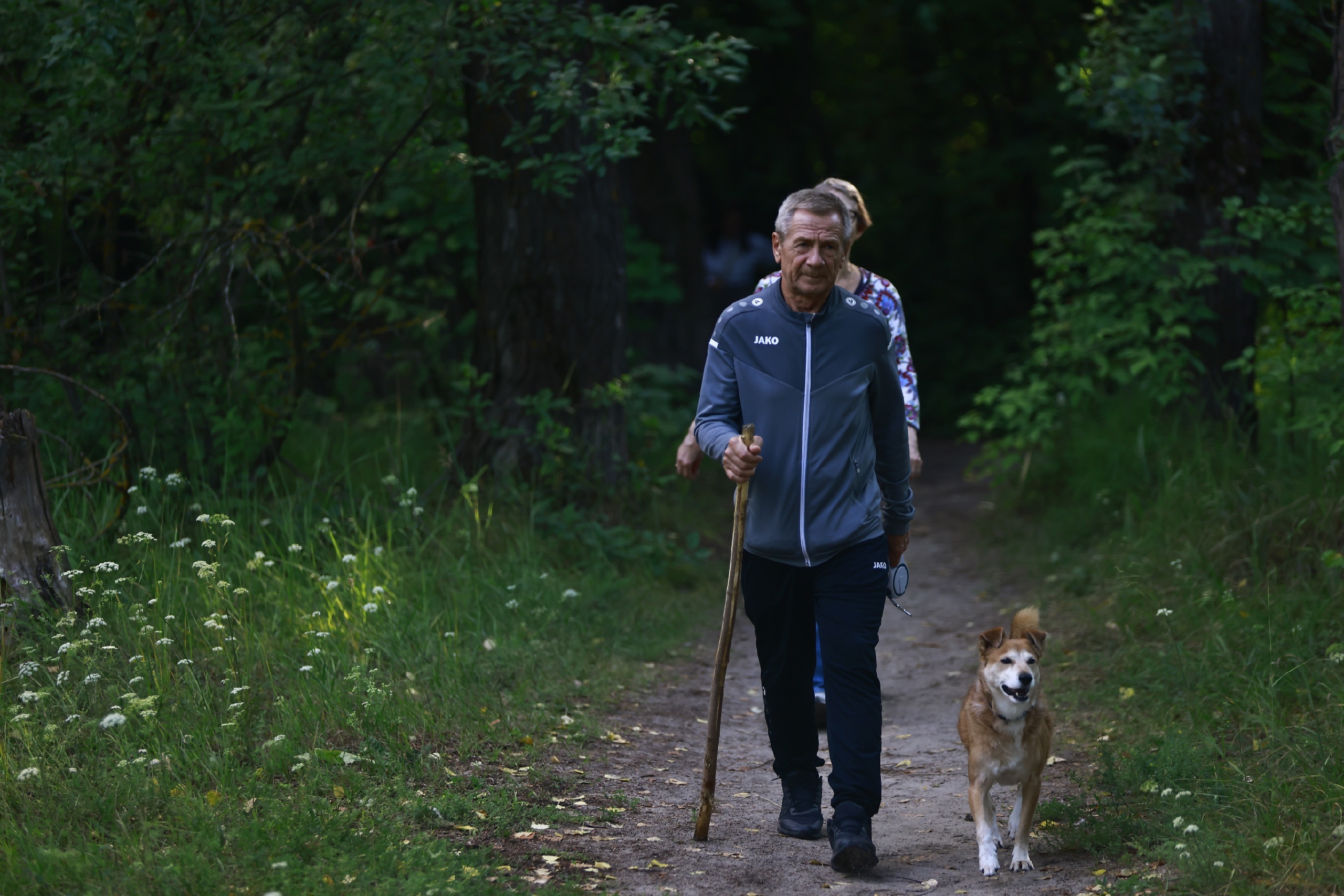 Владельцам собак хотят запретить заходить в магазины с питомцами