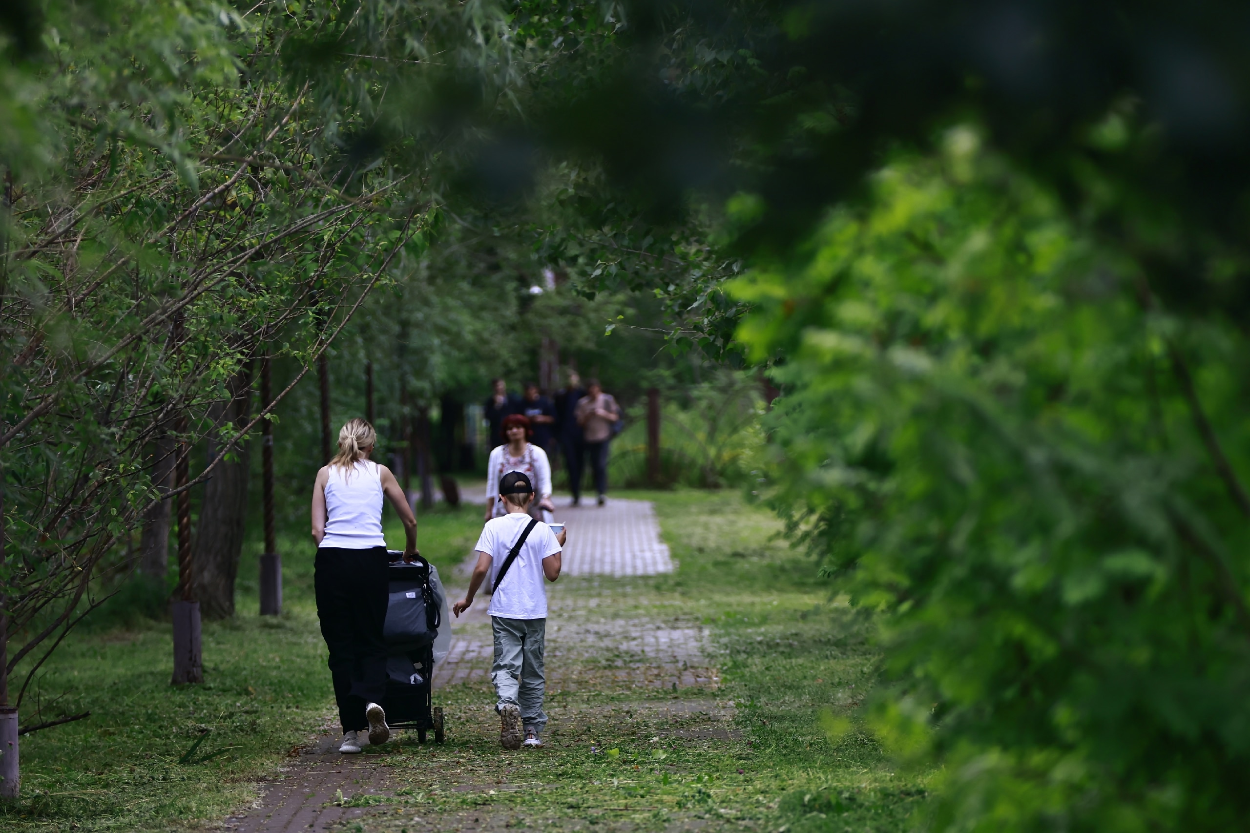 Кому предназначается новая семейная льгота в 2026 году