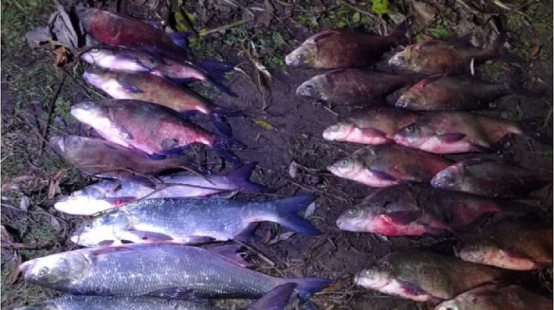 Татарстанцы попались на ловле рыбы на территории памятника природы