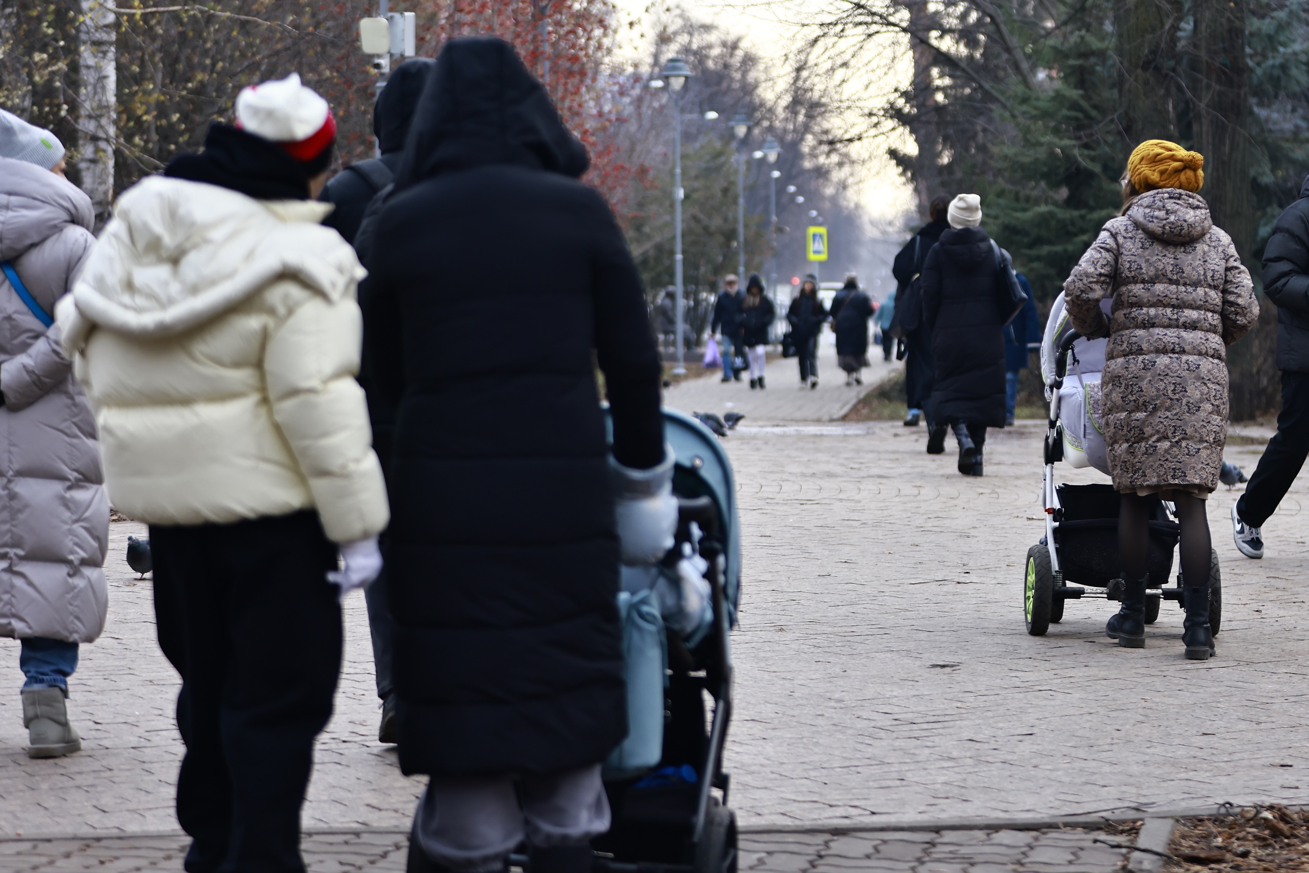 С начала года Соцфонд Татарстана выдал родовые сертификаты на 242 млн рублей