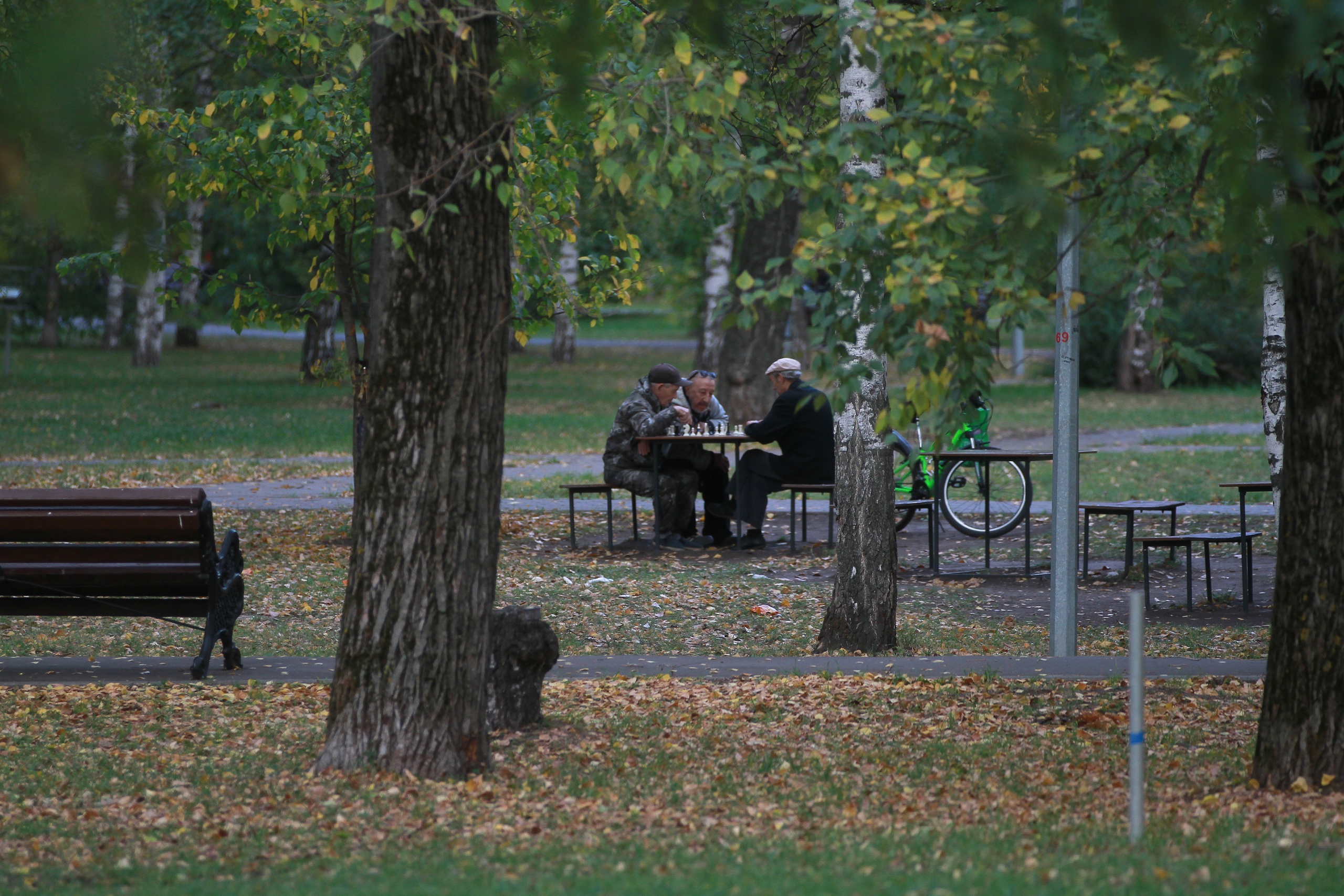 Доцент КФУ заявила о снижении уровня витамина D у татарстанцев