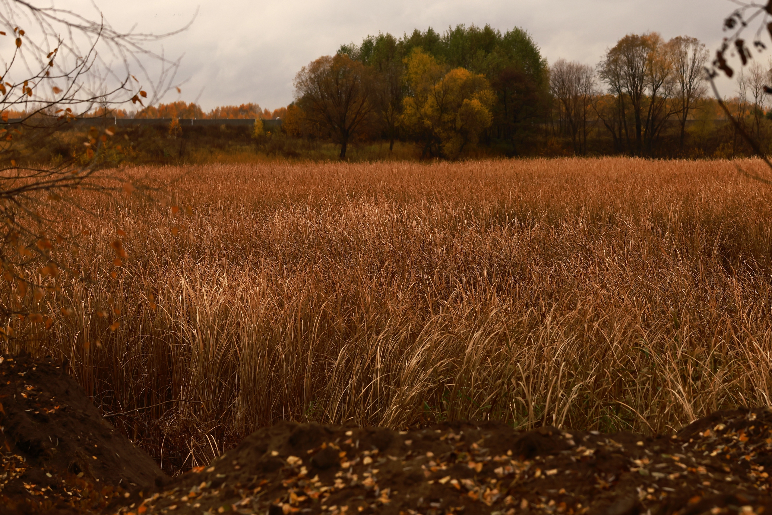 В Татарстане температура сохраняется выше климатической нормы, рассказали в КФУ