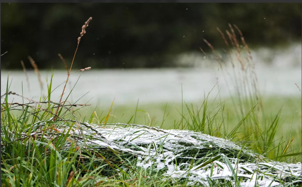 Выпавший в Нурлатском районе снег стал исключением