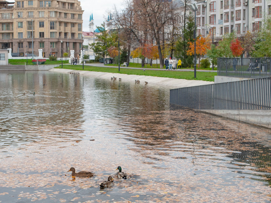 В парке «Черное озеро» начали осушать водоем под каток