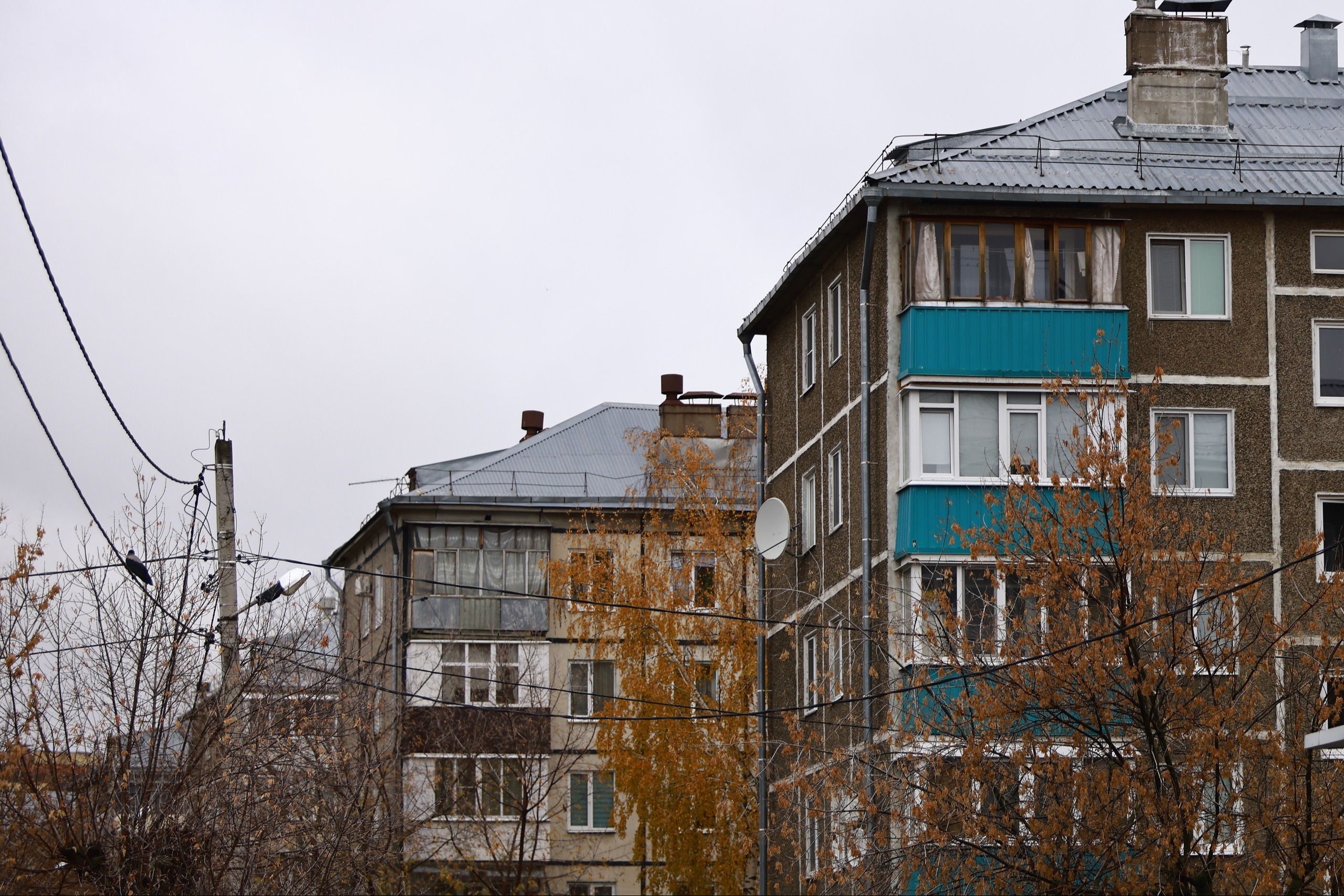 После дела Долиной покупать квартиру на вторичке стало опасно