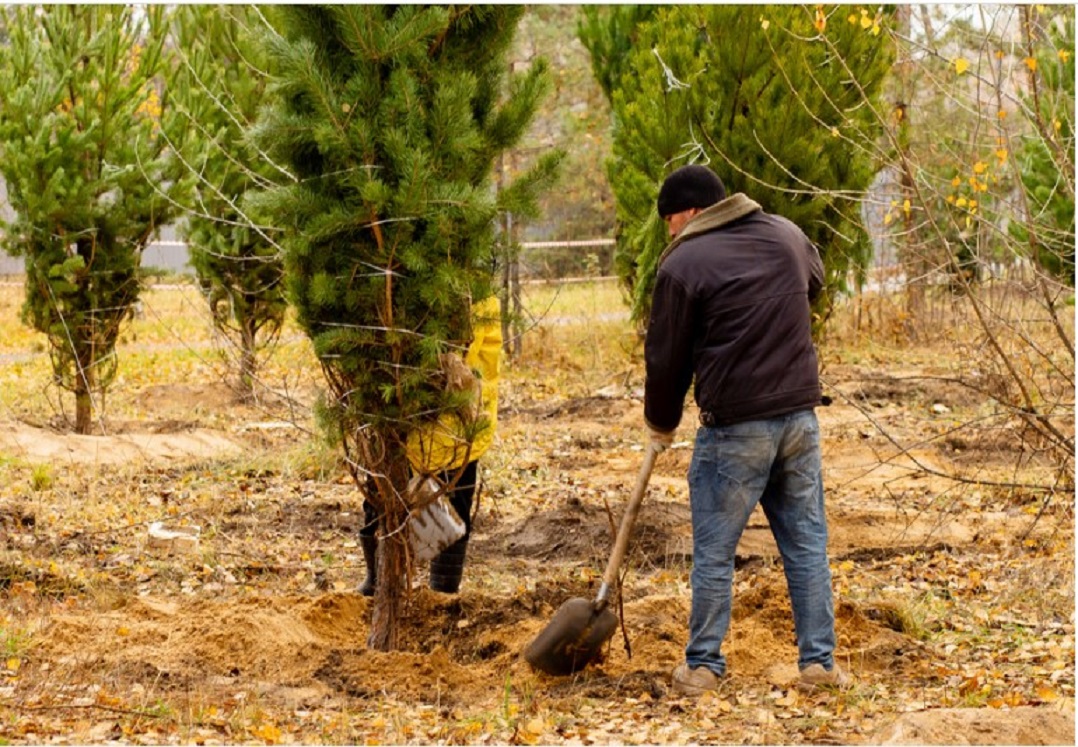 пресс-служба мэрии Казани