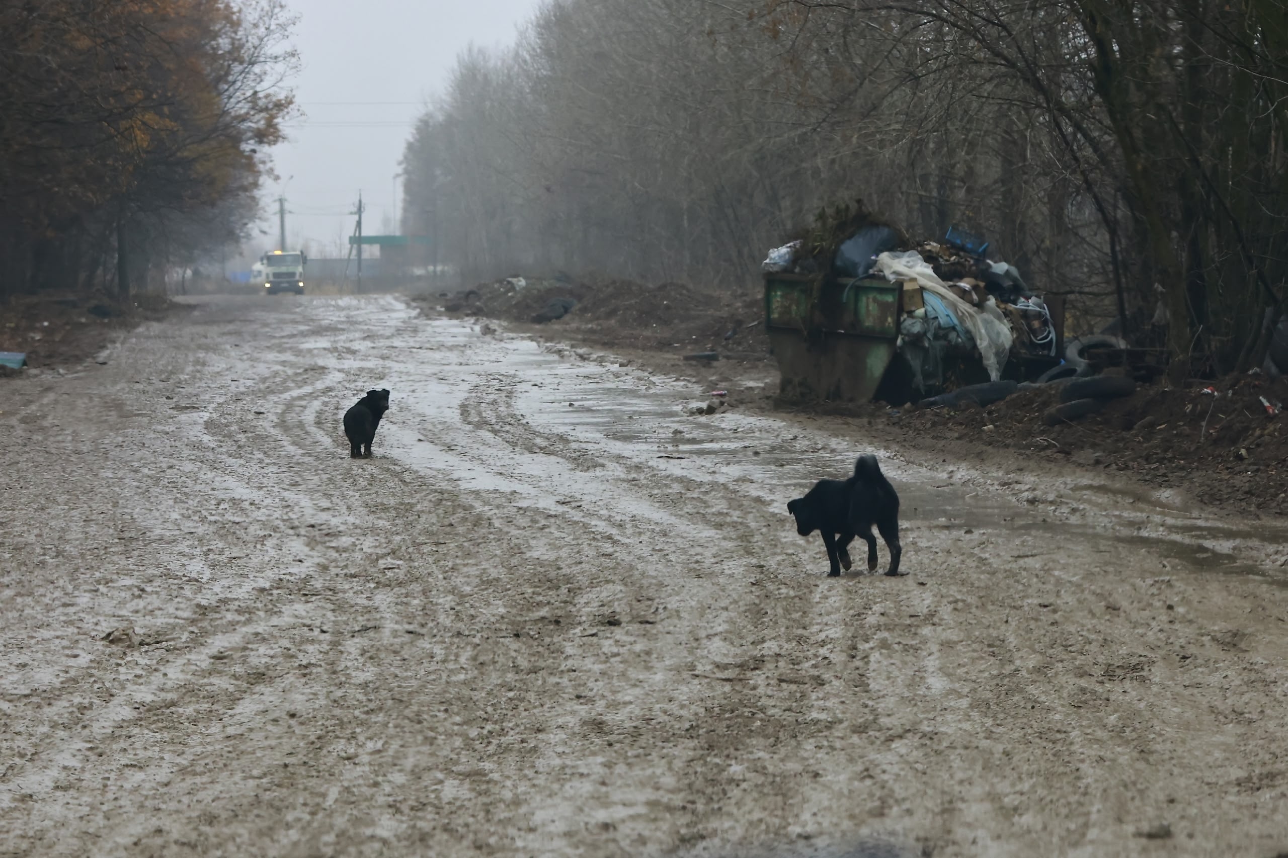 Павел Хацаюк / ИД «Вечерняя Казань»