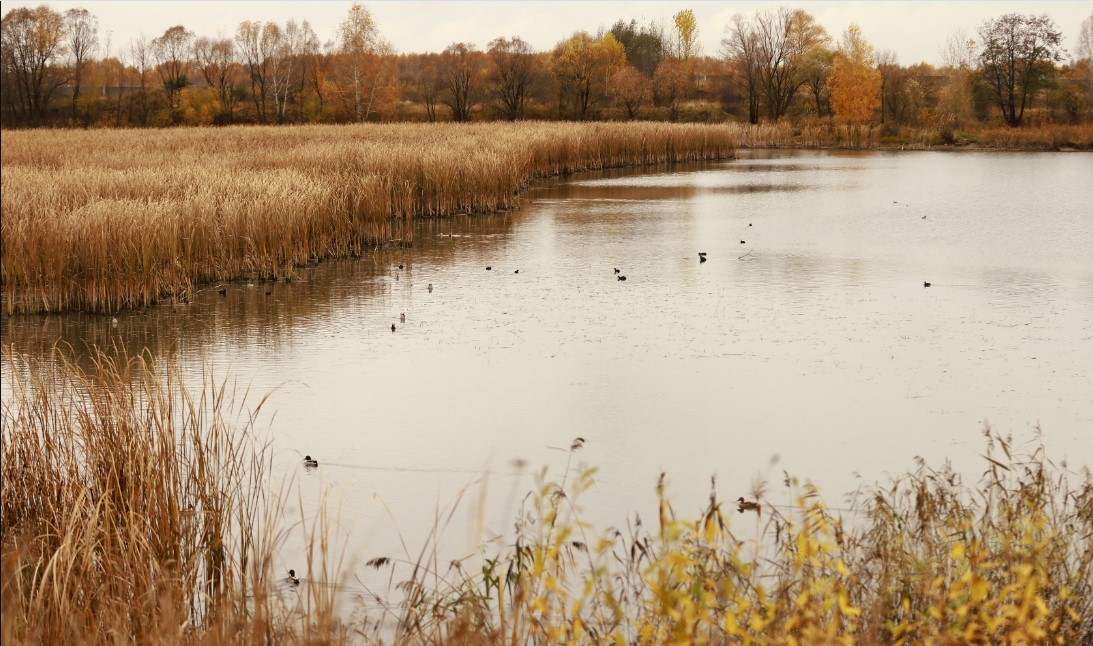 Татарстанцев просят приготовиться к сильному ветру