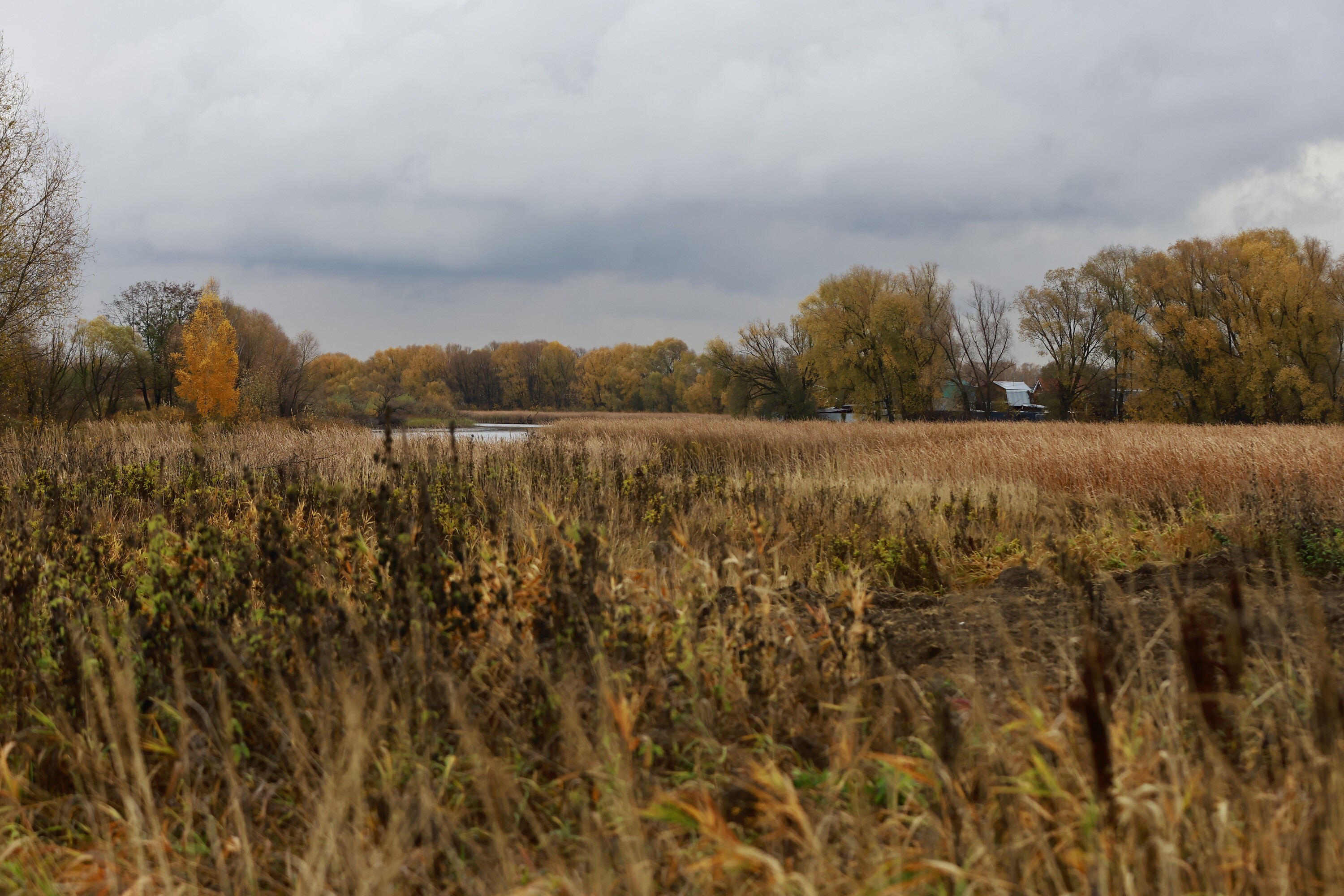 Татарстан потратит на улучшение экологии более полумиллиарда рублей