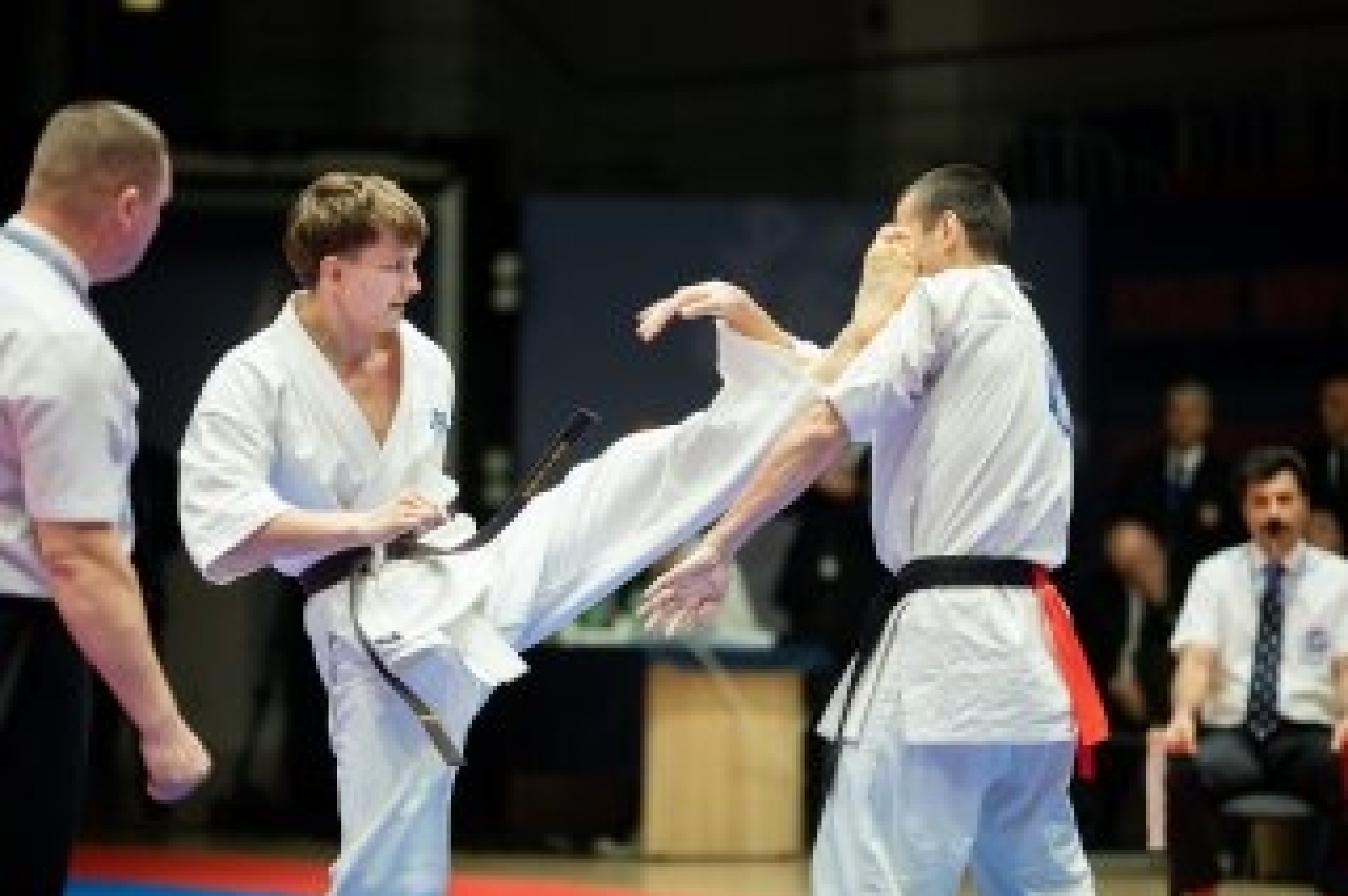 В Казани прошел Кубок мира по киокусинкай