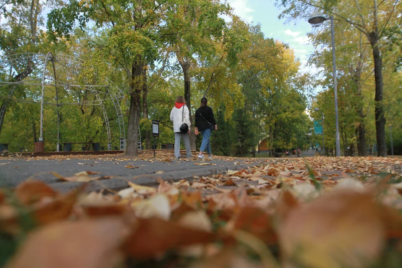 Заявления о глобальной эпидемии депрессии назвали паническими