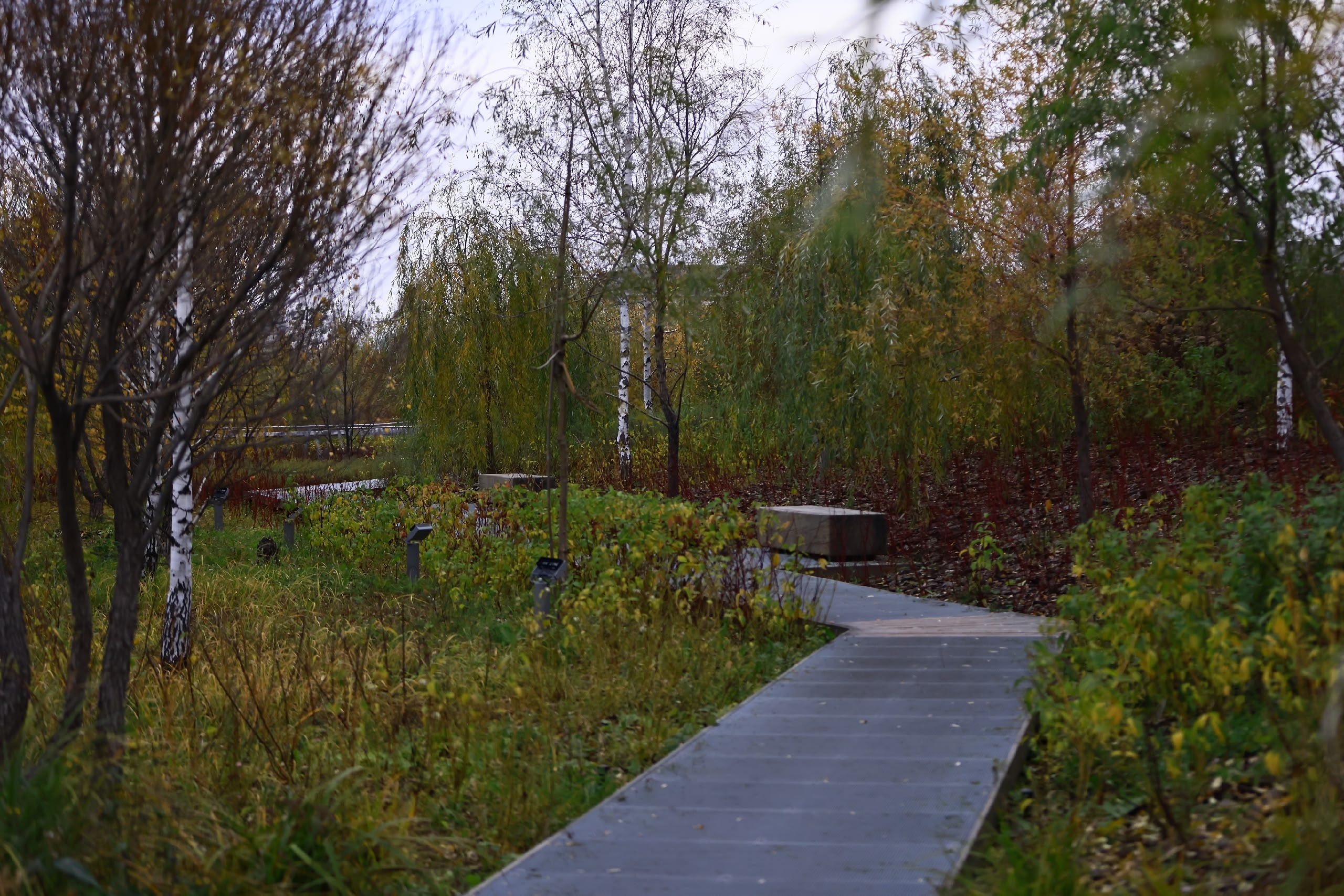 Синоптики предупредили казанцев о сильном тумане и гололедице