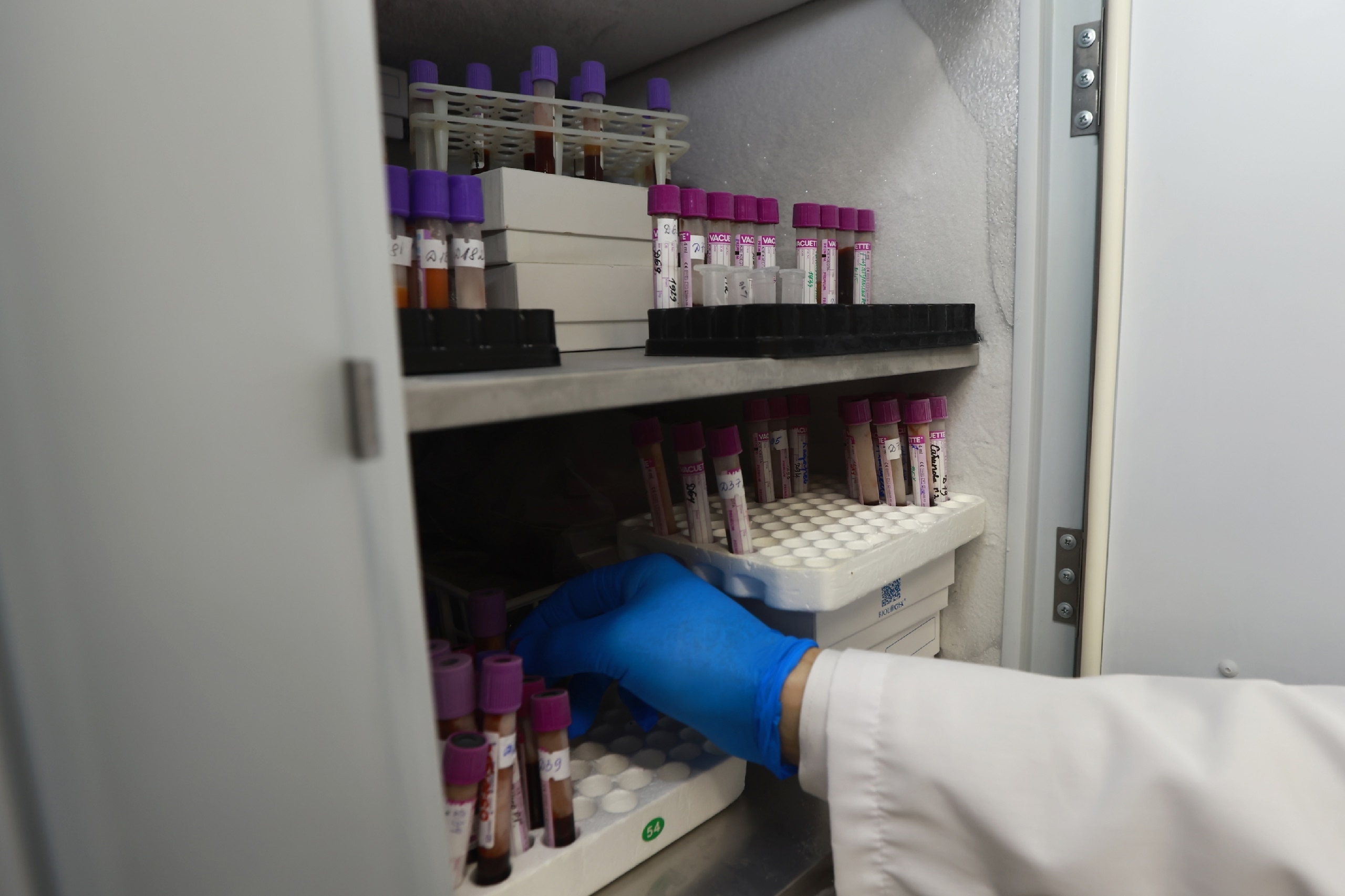 Ученые сумели расшифровать мысли людей при помощи МРТ